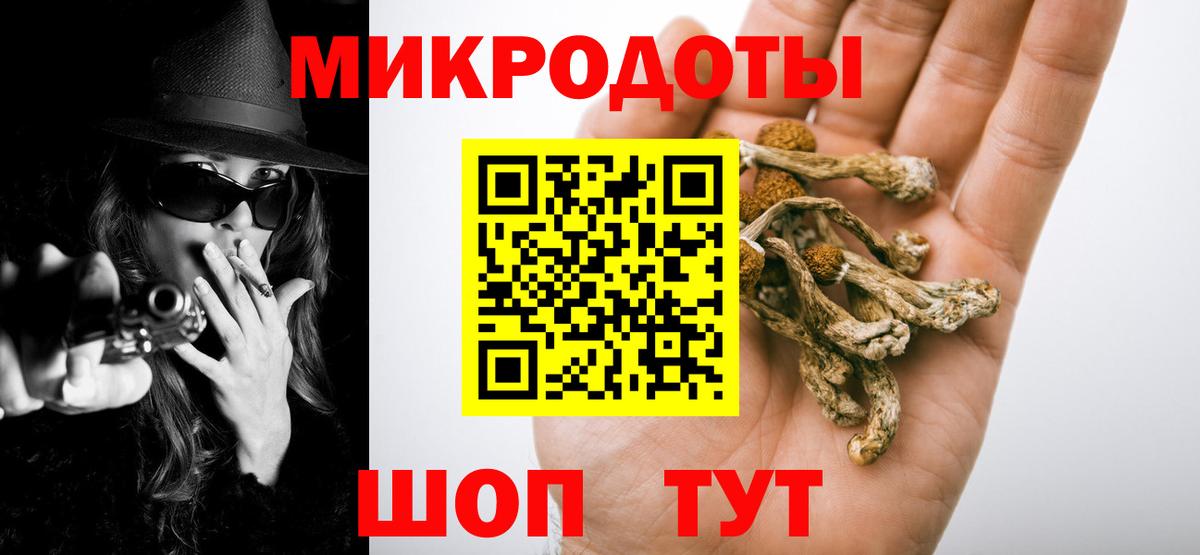 Галлюциногенные грибы мицелий Балтийск